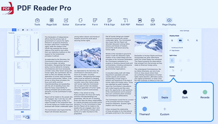 Specific Guide for PDF Reader Pro